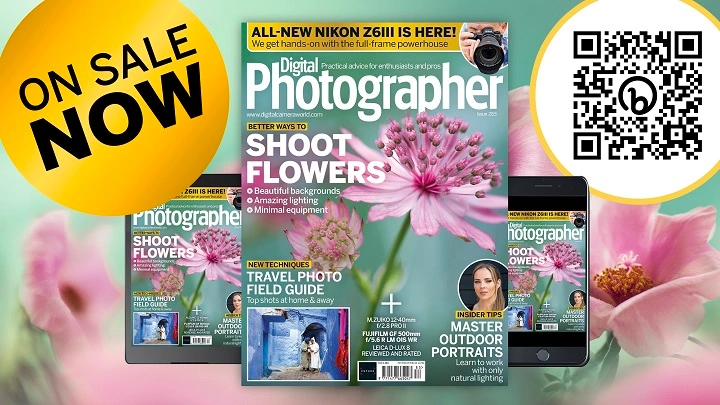 Flower Magazine: A Bloom of Beauty, Design, and Inspiration Flower Magazine