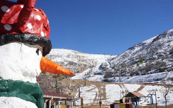 What Mt Hermon News Covers