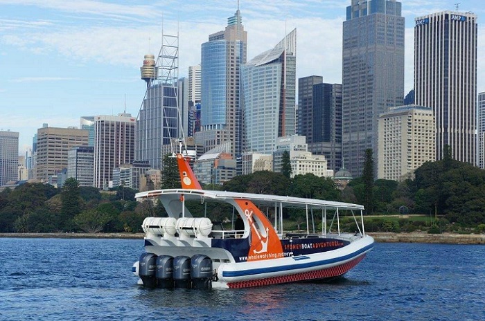 How Do You Pick The Right Sydney Adventure Boat? sydney boat adventures